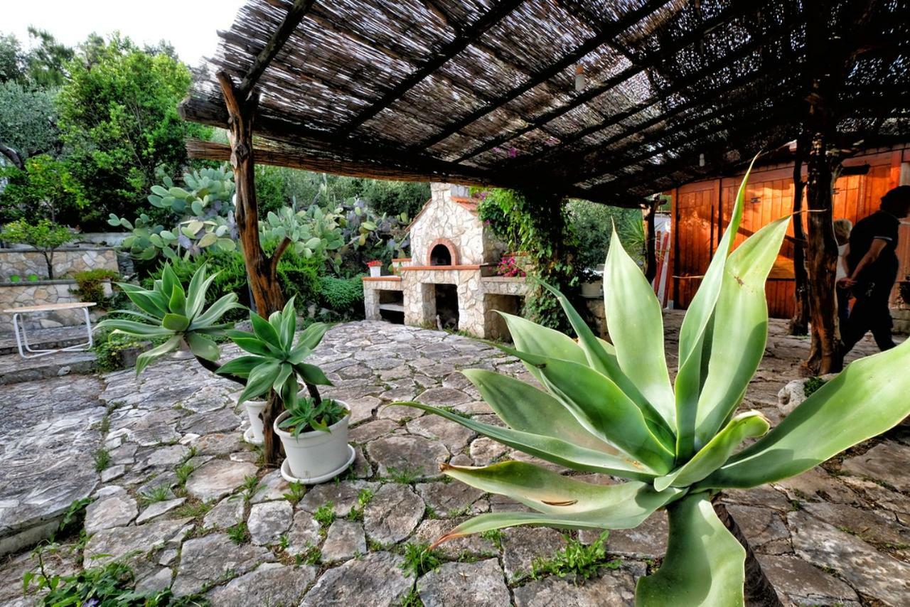 Вилла Terra Di Ulivo Вьесте Экстерьер фото